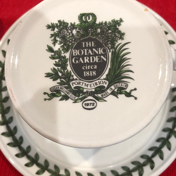 The Botanic Garden cup and saucer - Picture 6 of 12